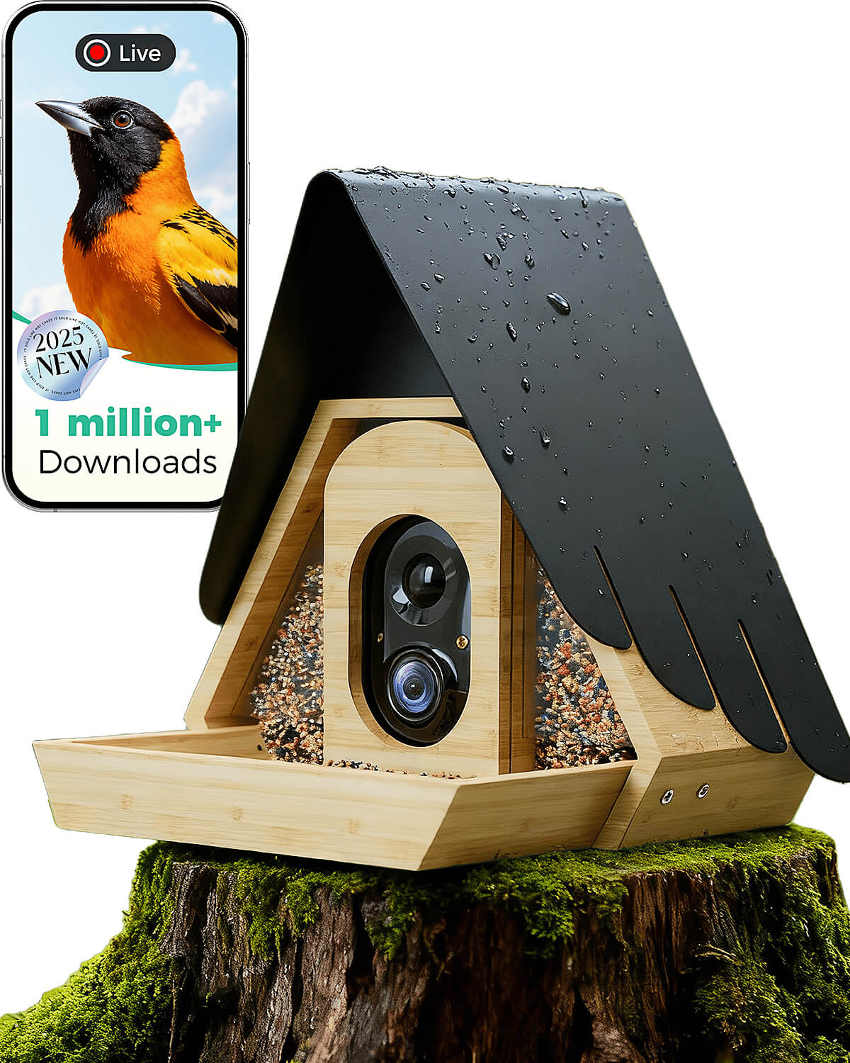 Bamboo Smart Bird Feeder with 2K AI Camera – FSC-Certified, Solar Powered, Eco-Friendly Gift for Bird Lovers (64G SD Card Included)
