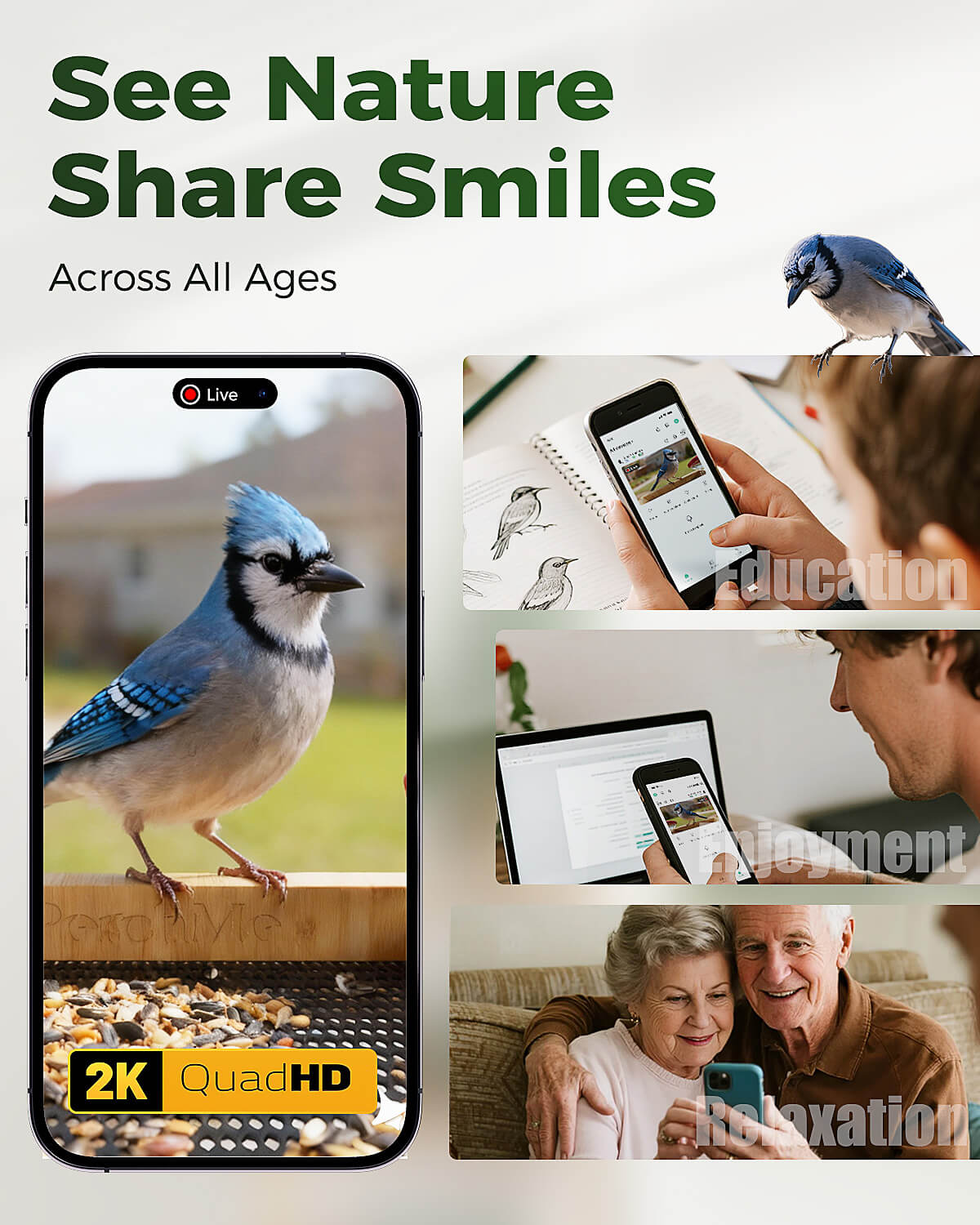 Bamboo Smart Bird Feeder with 2K AI Camera – FSC-Certified, Solar Powered, Eco-Friendly Gift for Bird Lovers (64G SD Card Included)